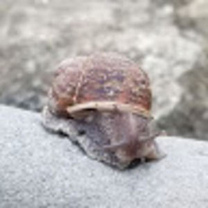 Meet your Posher, Kel